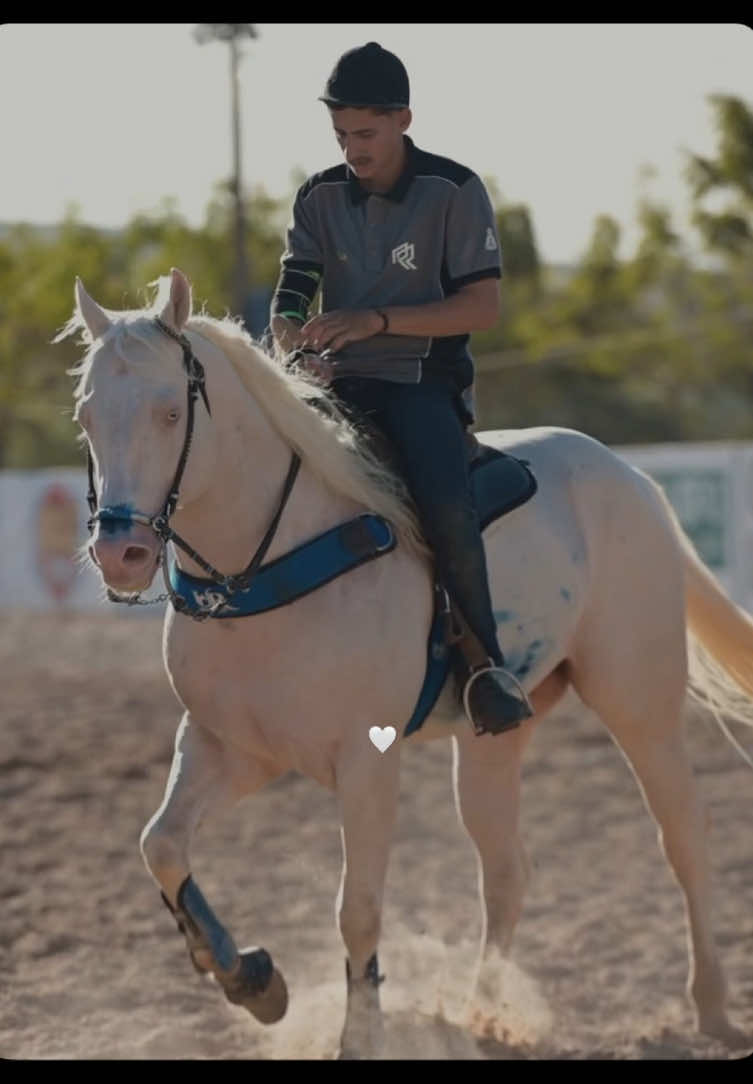 @forr&oacute; de vaquejada