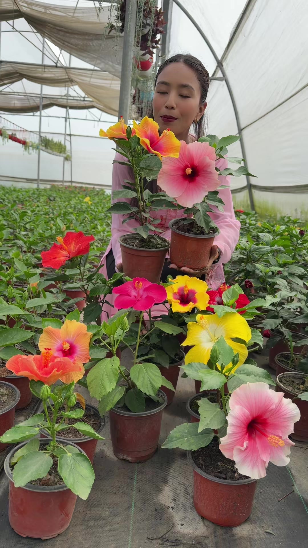 @Uday Garden Centre
