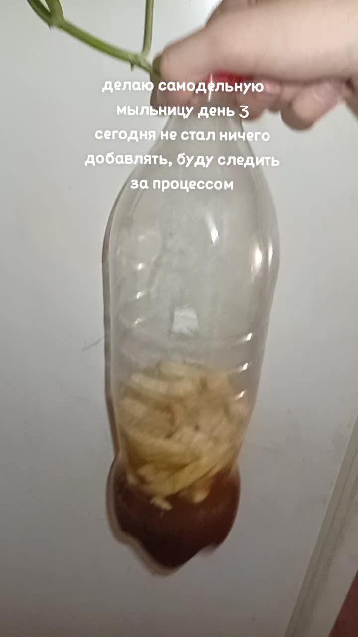 @квад орбітражнік