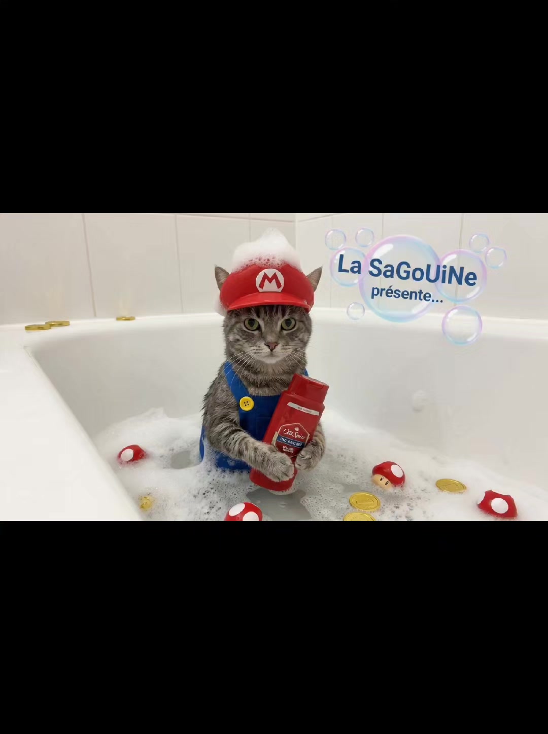 @🍂💜🦋💫La💙SaGoUiNe.41🦋💙🍂