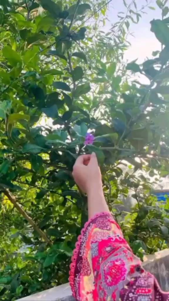 @❤◉◡◉❤SOUMYA BEBY❤◉◡◉❤