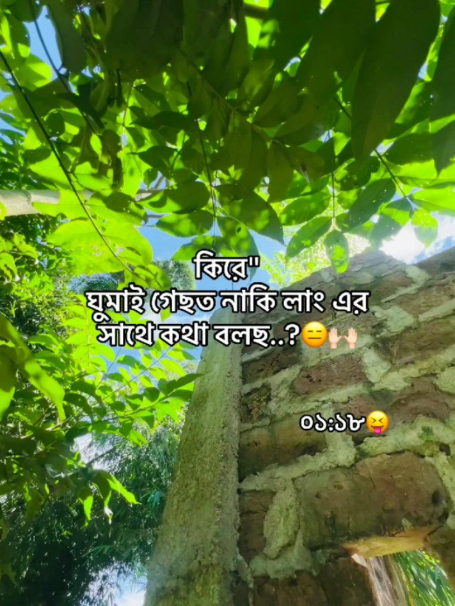 @টিক-টিকি