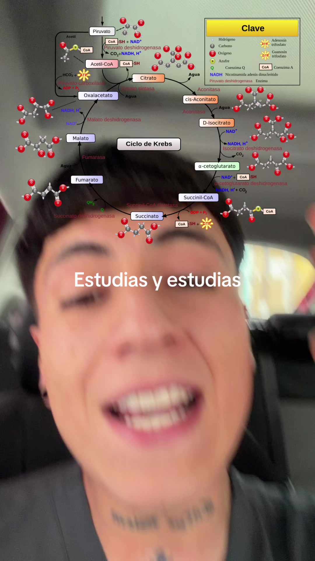 @ENDOBOY