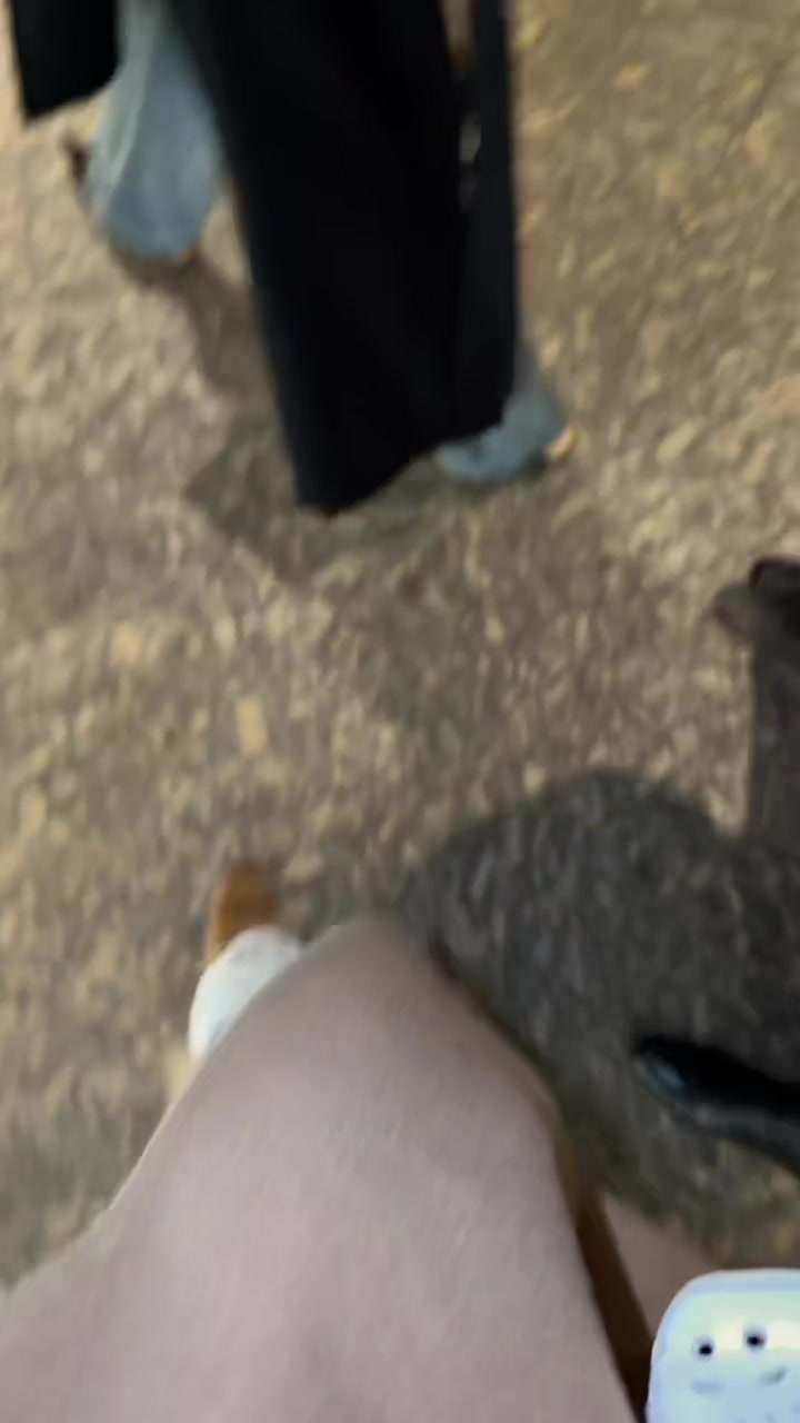 @Noaaaz🪽