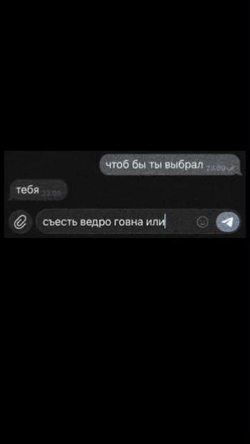 @₍^. .^₎⟆