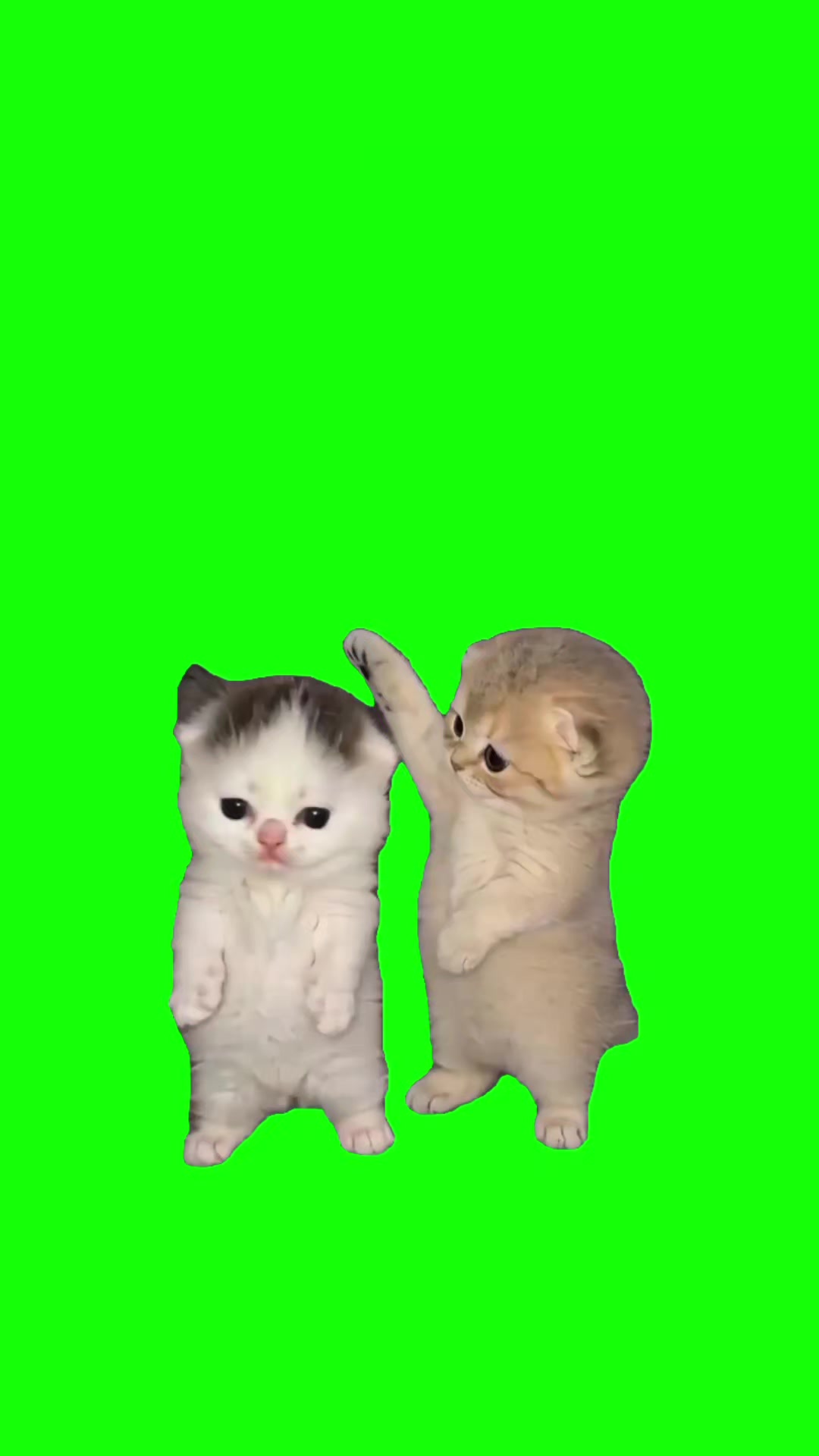 @GreenScreamMemes