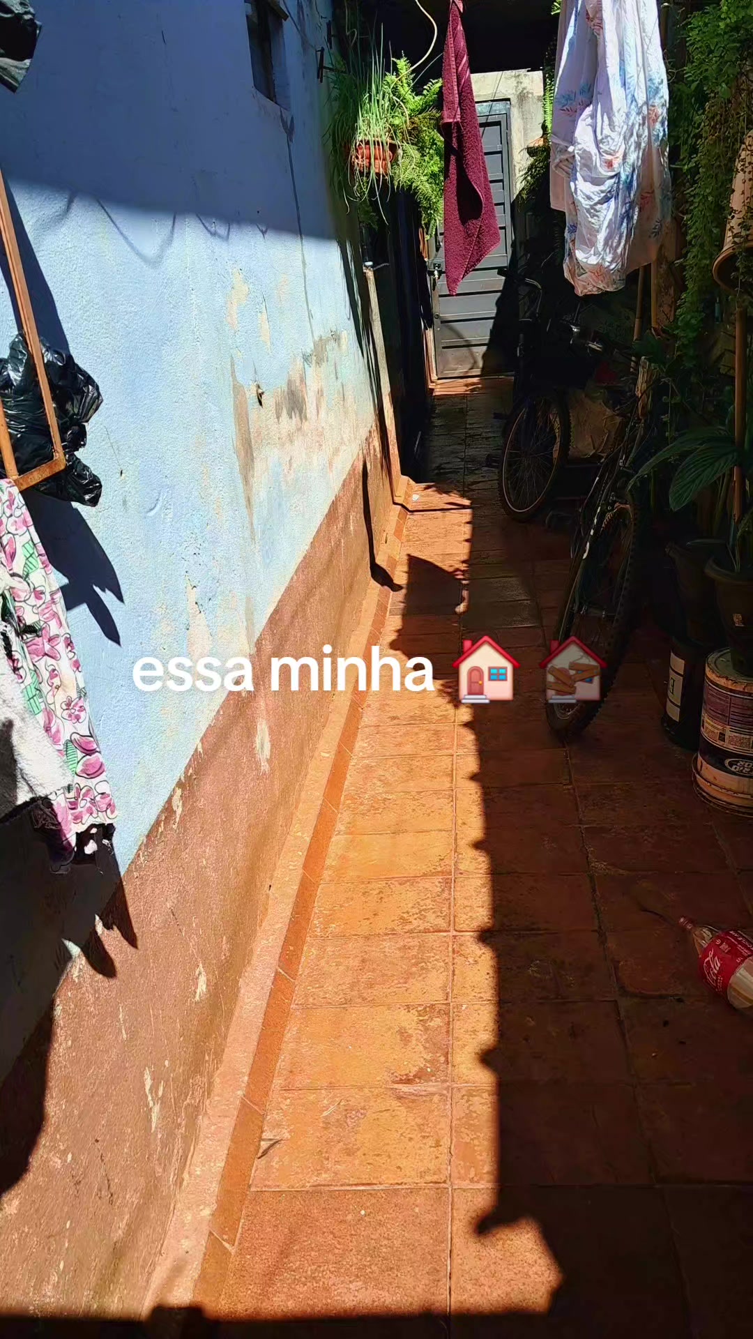 @Nadir Vieira Borazo ❤️🌹