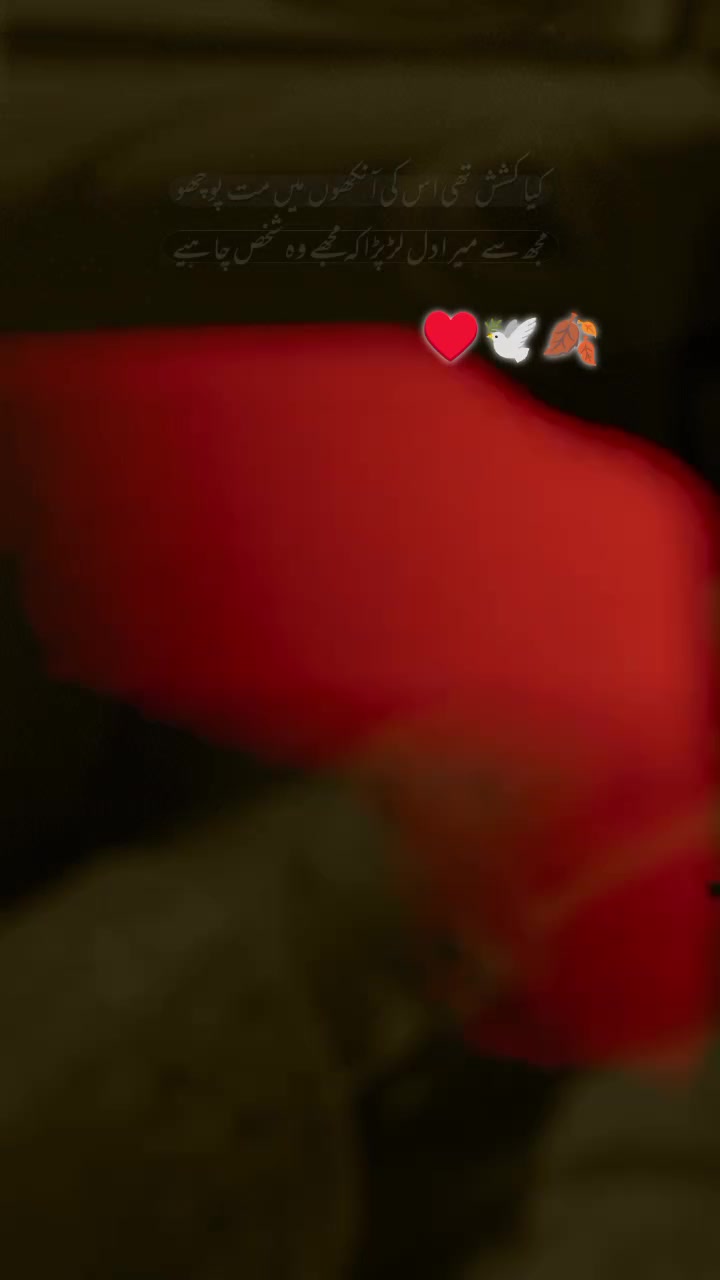 @°♡✧Ą𝐫ş𝙝έ'ş 𝕓ʊ𝕓𝕓γ°♡✧