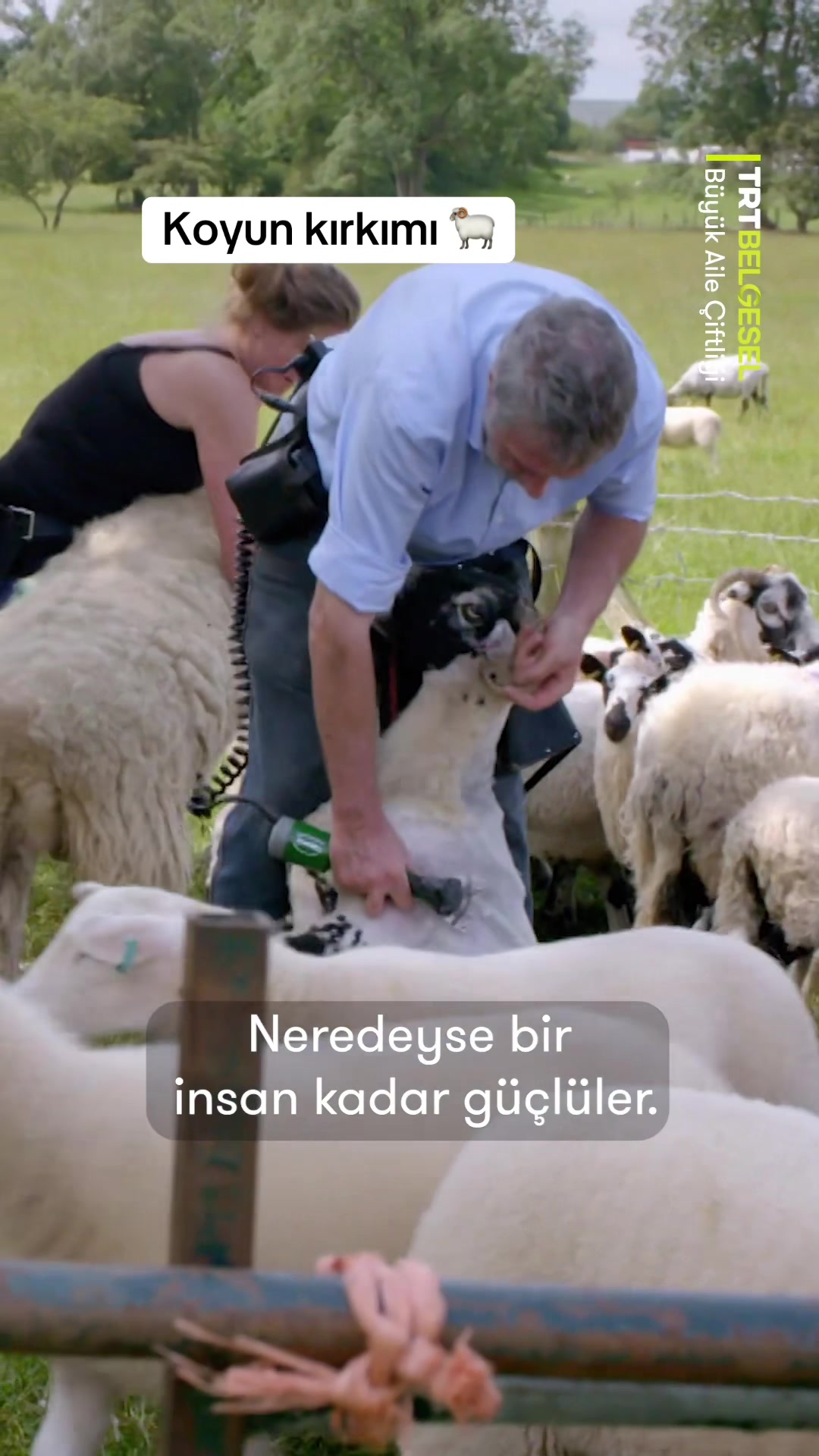 @TRT Belgesel