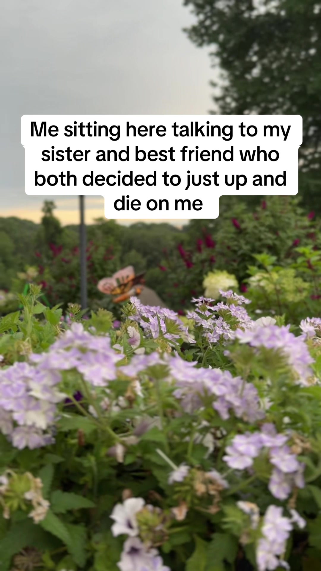 @lifewithmisty8