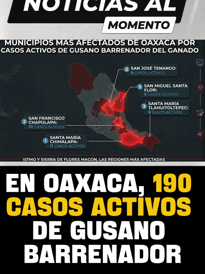 @Oaxaca Informaci&oacute;n