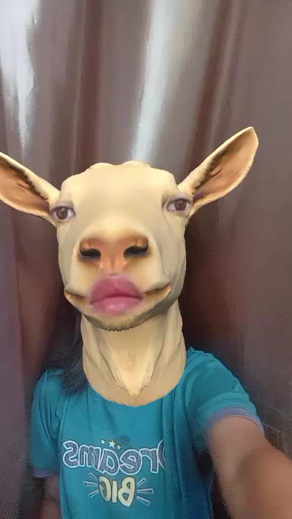 @agusbotak😹😹