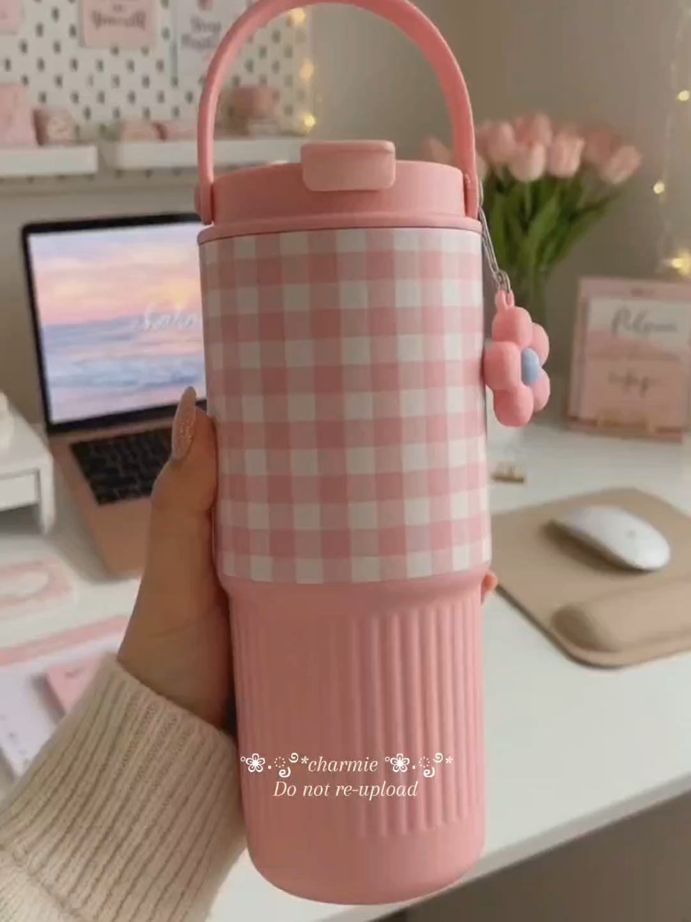 @Charmie ˚ʚ♡ɞ˚