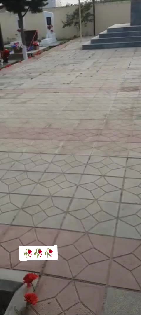 @♉