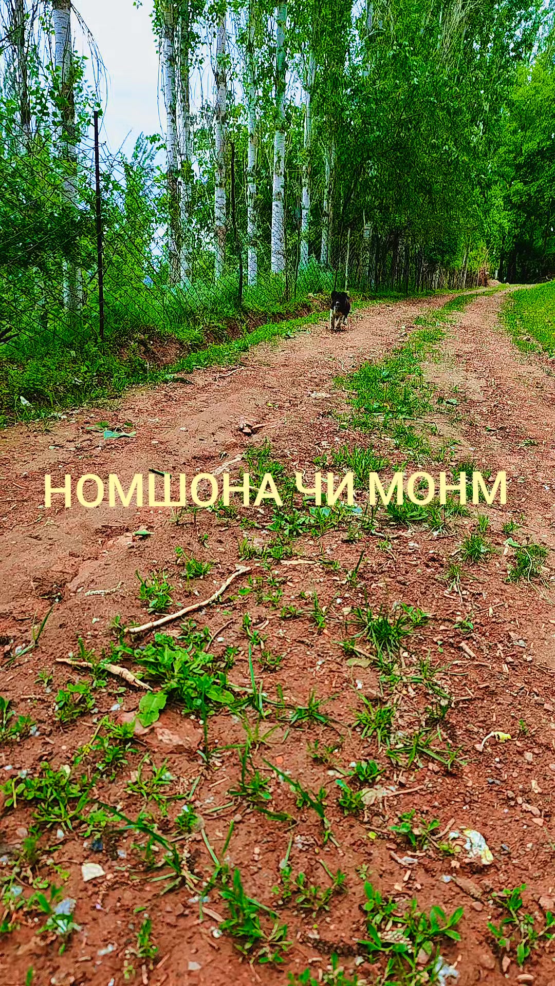@꧁ UMARJAN RAHIMOV ꧂
