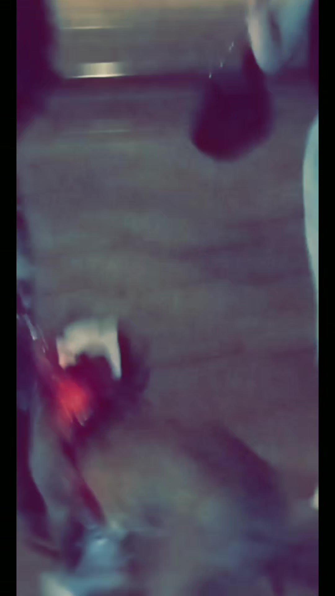 @&Ccedil;h&acirc;h&igrave;&ntilde; P&auml;r&iuml;z&icirc;&agrave;&ntilde;