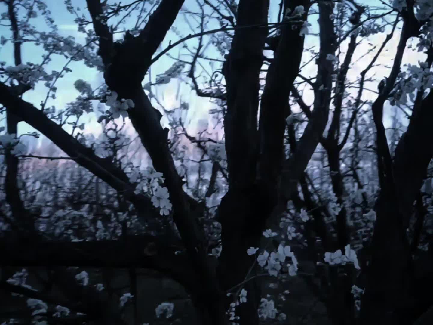 @𝖁𝖆𝖒𝖕 𝖒𝖆𝖝 𓂀♡❀