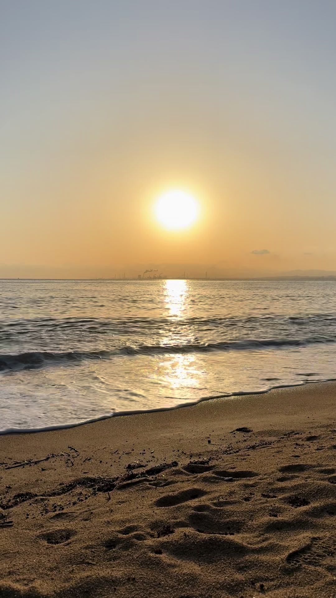 @🌅太郎🌊