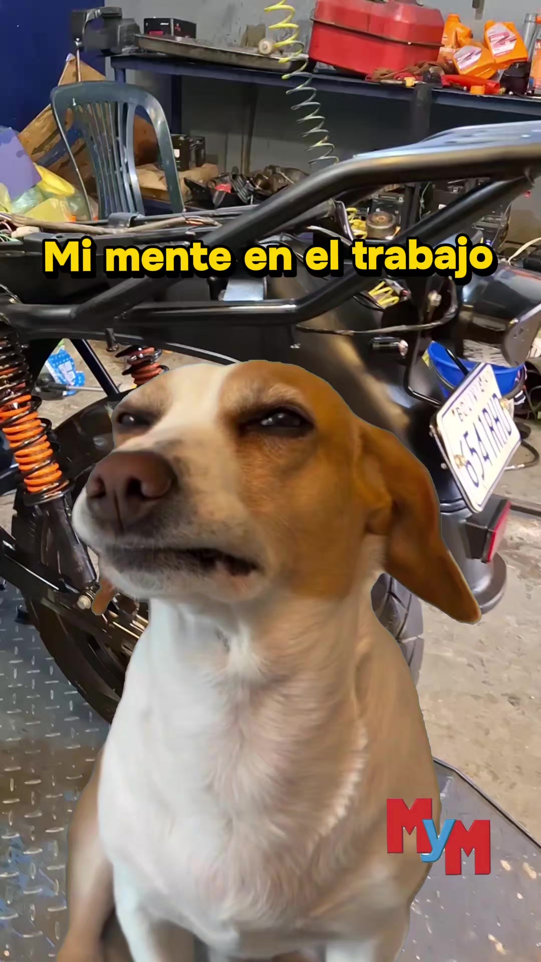 @Taller MyM