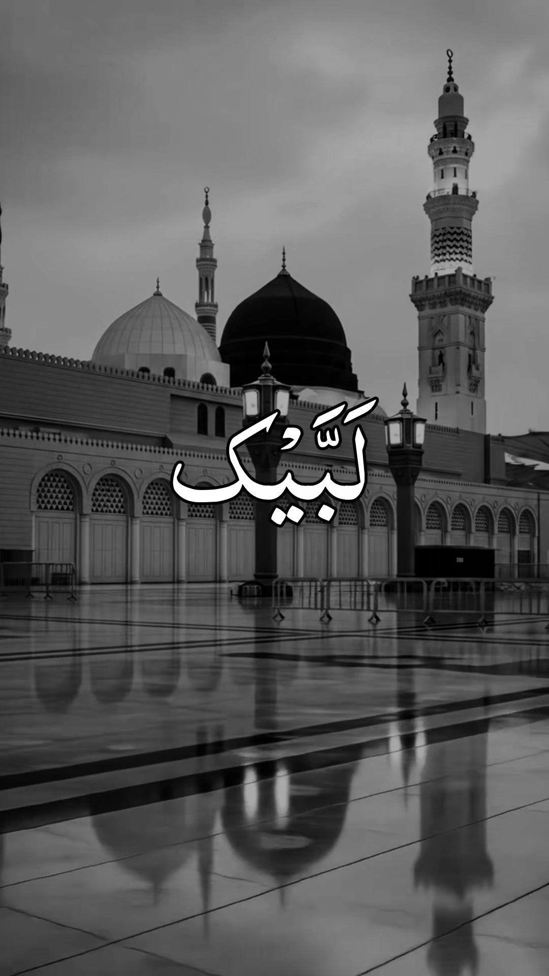 @❣️ Words of Allah ❣️
