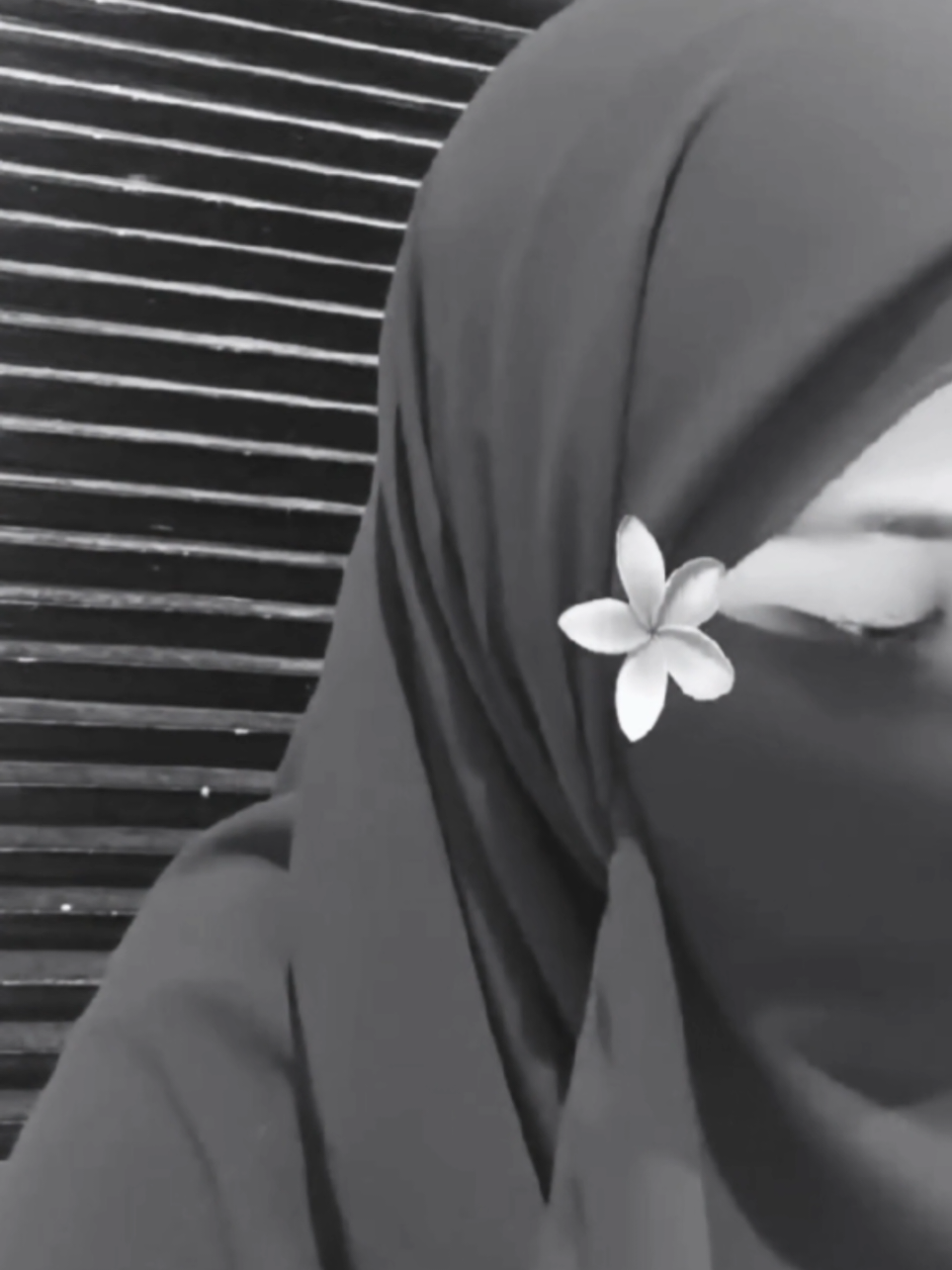 @๐ฟAisy๐