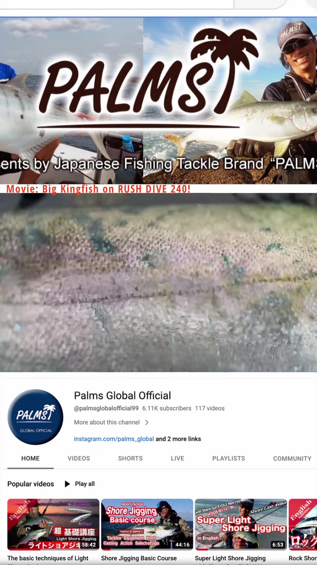 @Palms_global