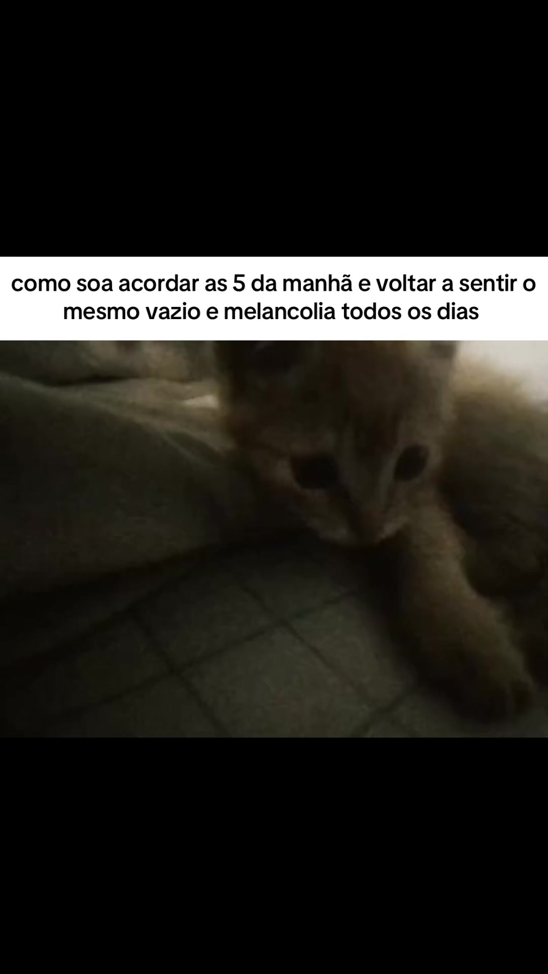 @ℓυᴄคร ᯓ★⁶⁷⁶⁷