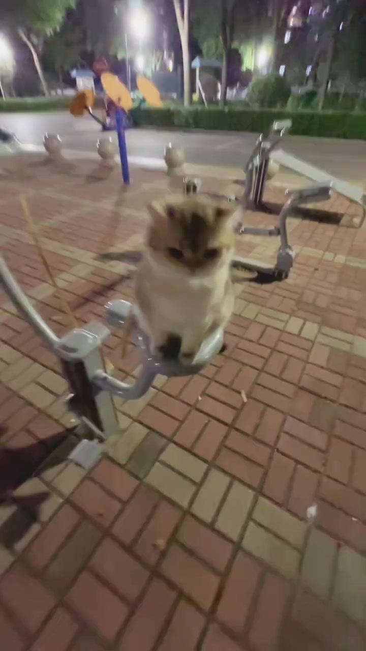 @trạm cute