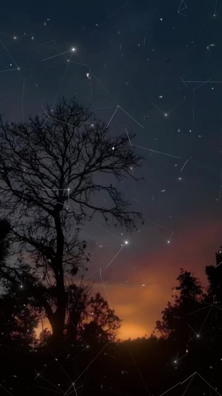 @𝐁𝐀𝐋𝐊𝐀𝐍 𝐒𝐎𝐍𝐆𝐒