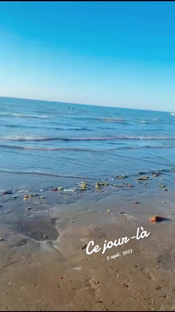 @🦋