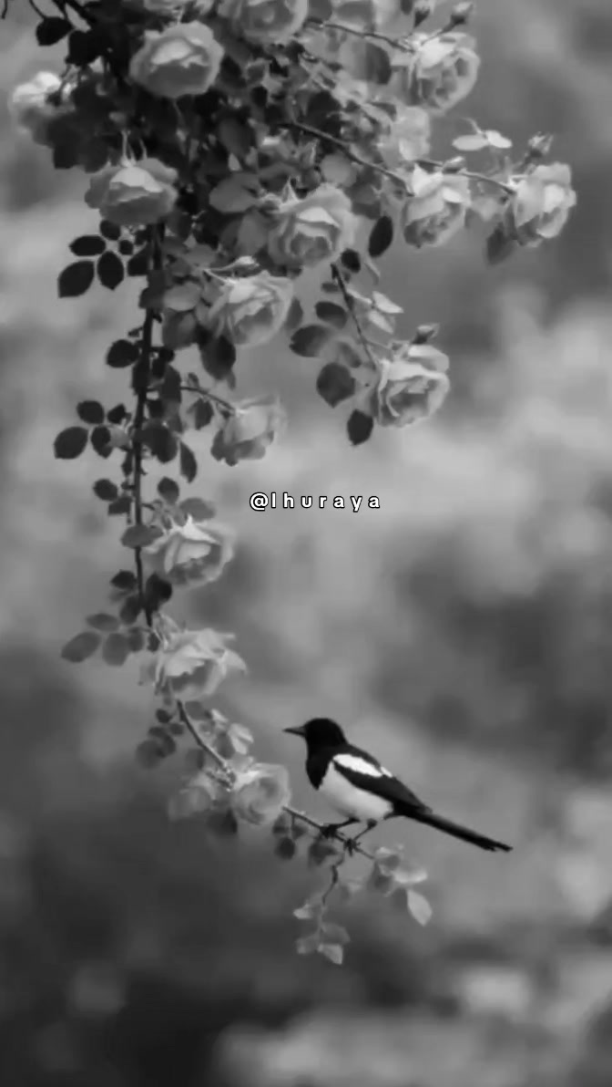 @ثــريا ✨