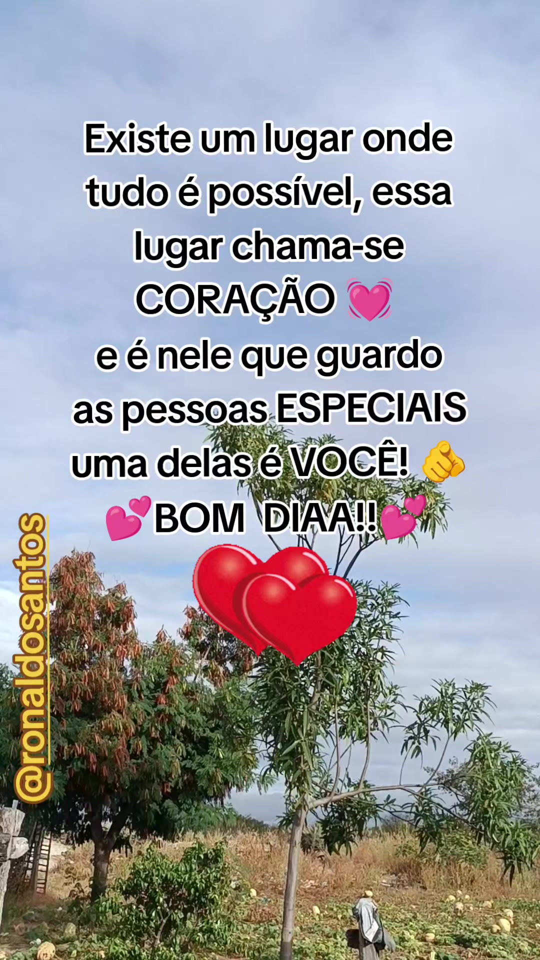 @ronaldosantos