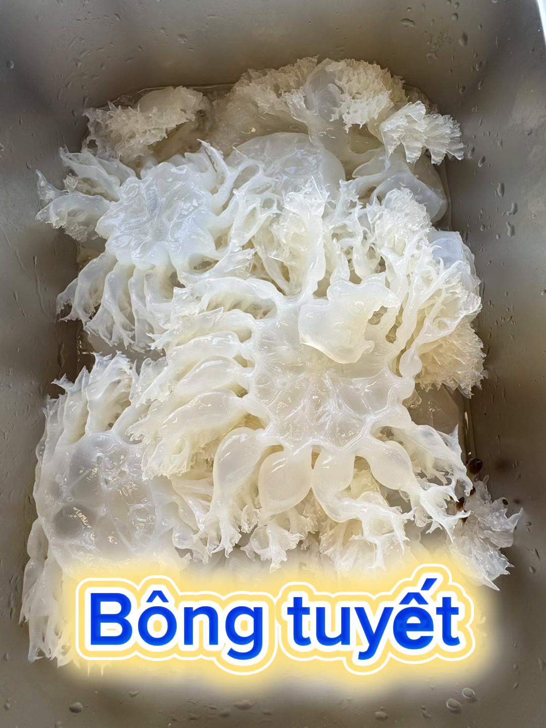 @A THÁI CN TÂN PHÚ