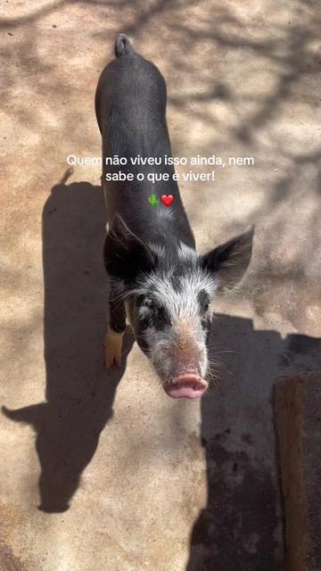 @Fabianafit