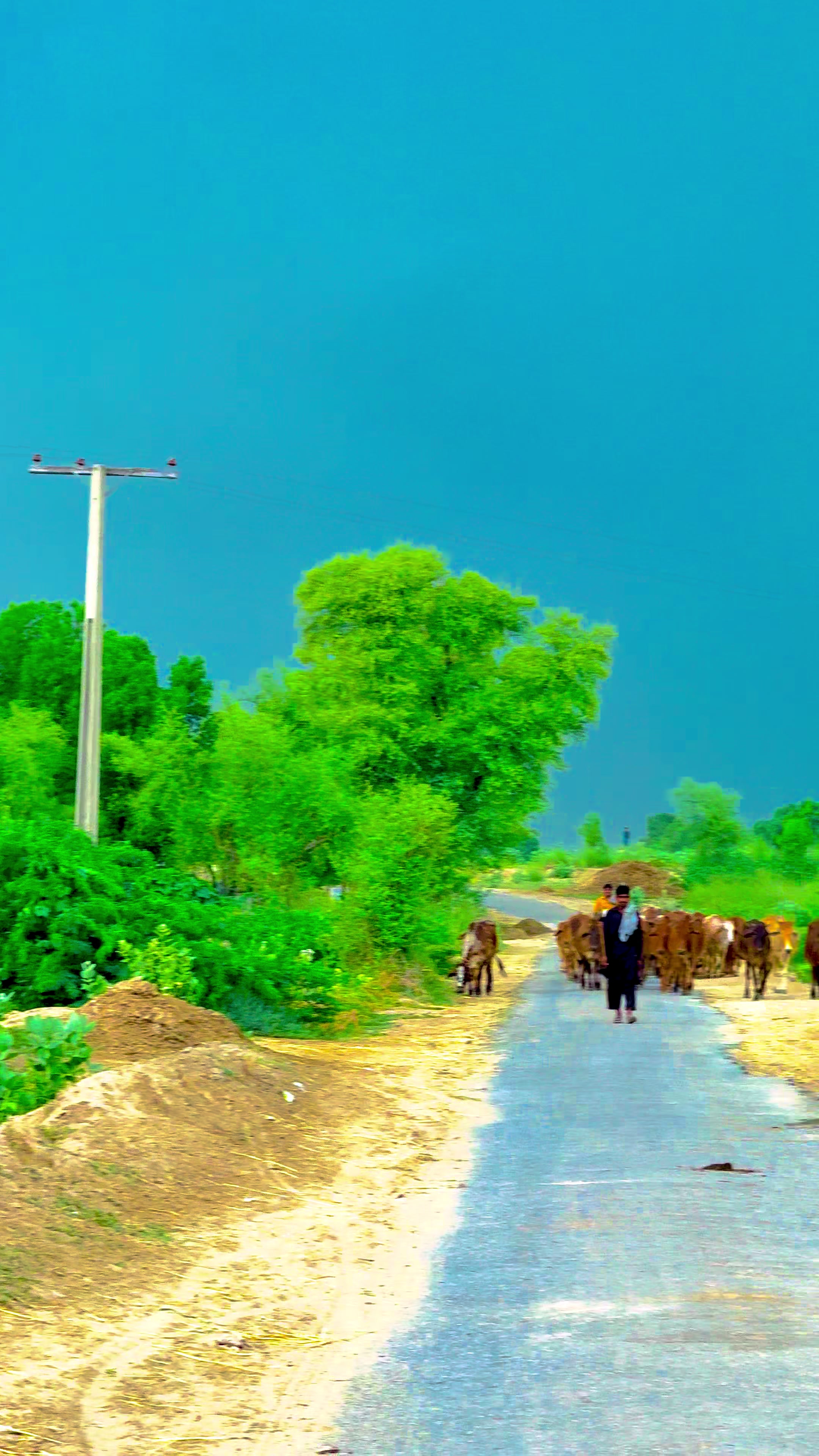 @🌾میں۔ میرا۔ پنڈ🎋
