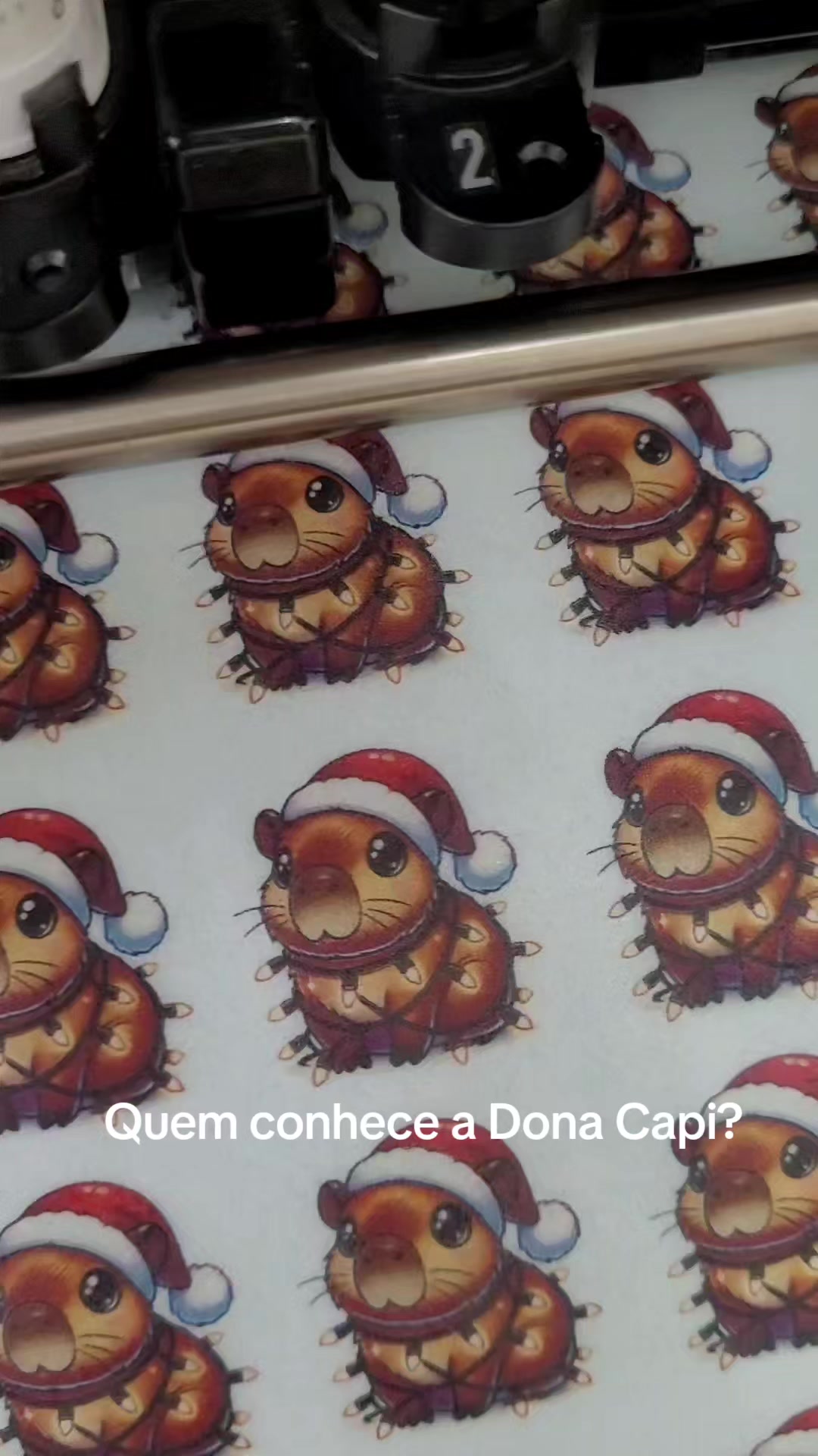 @Pirul&ecirc;oficial