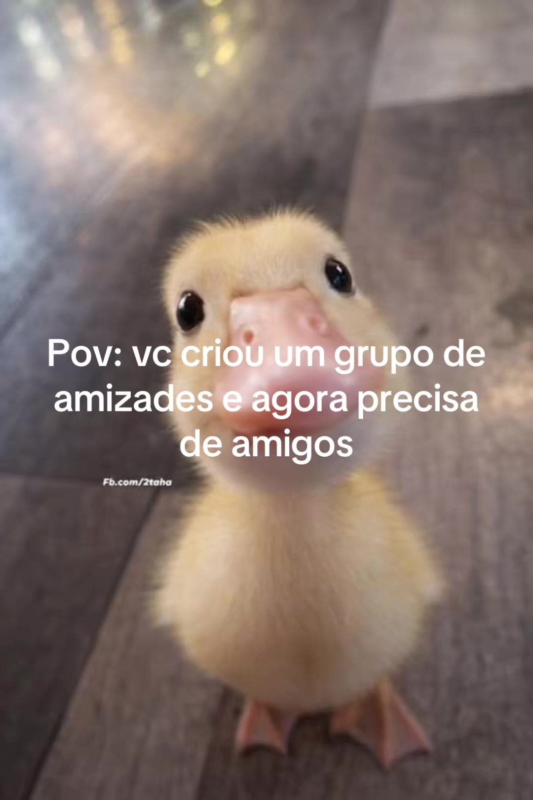 @Resenhaaa