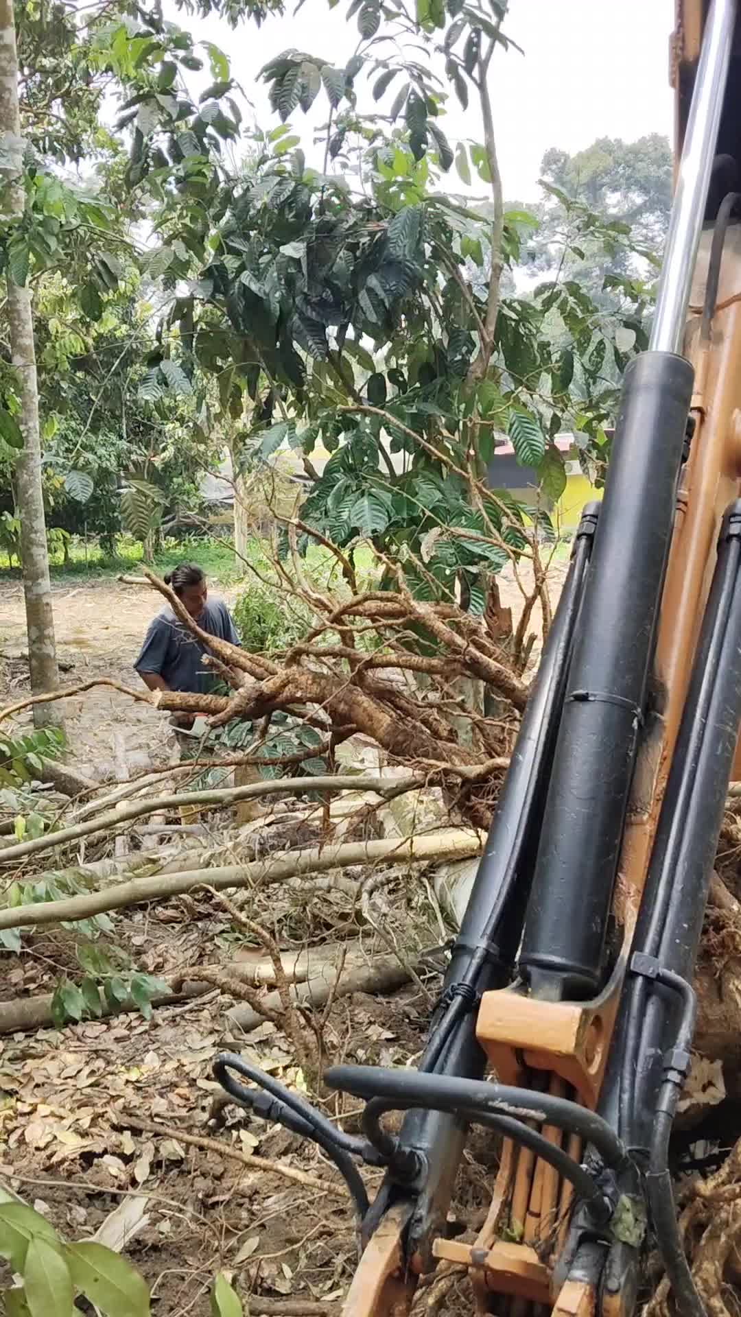@AmirGarcia69🇲🇾🐂🐐
