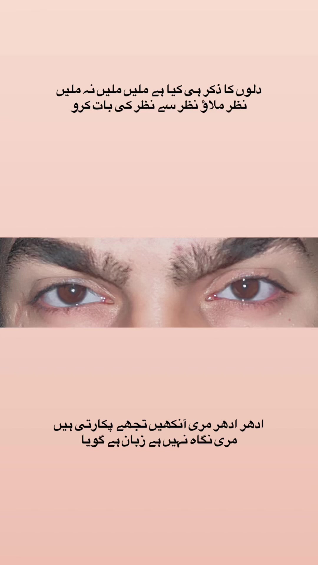 @🦉ملك ثقلين حيدر.