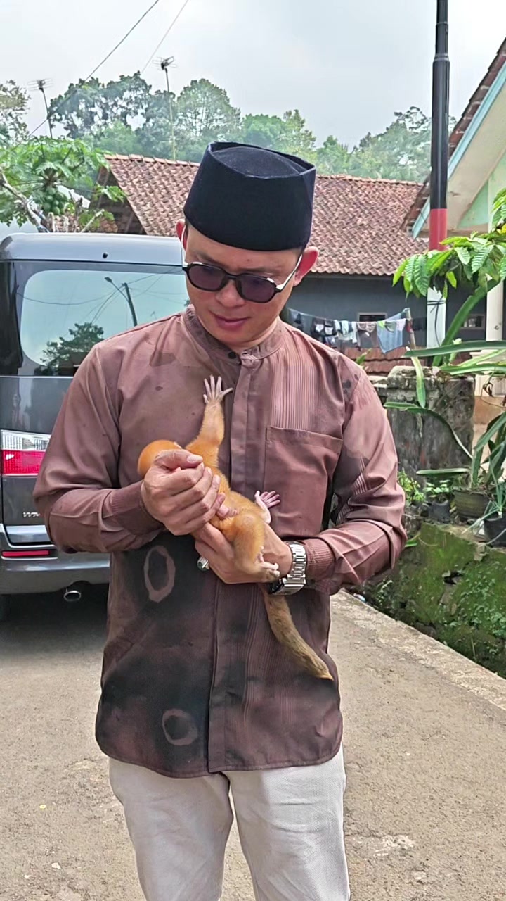 @hendi