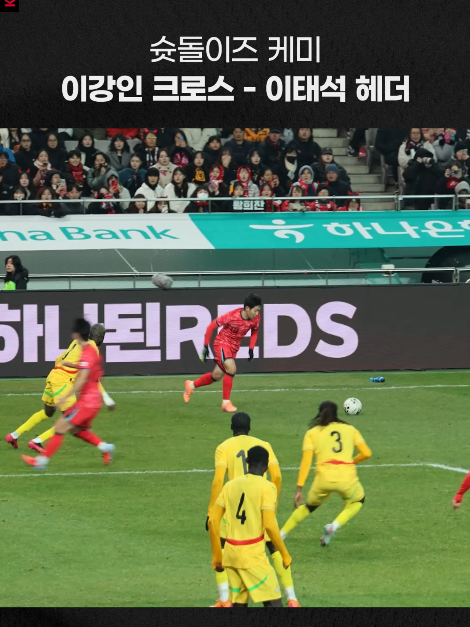 @thekfa