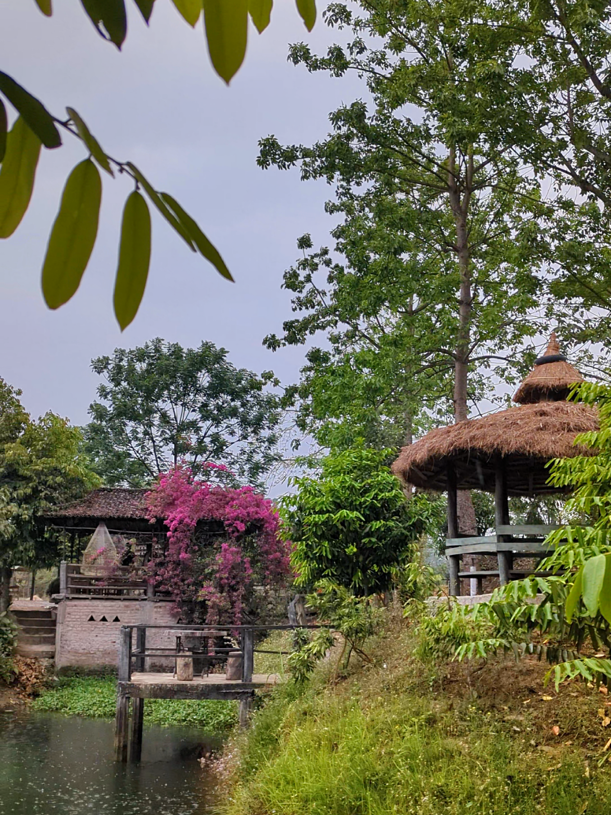 @Dr. Prabin Regmi