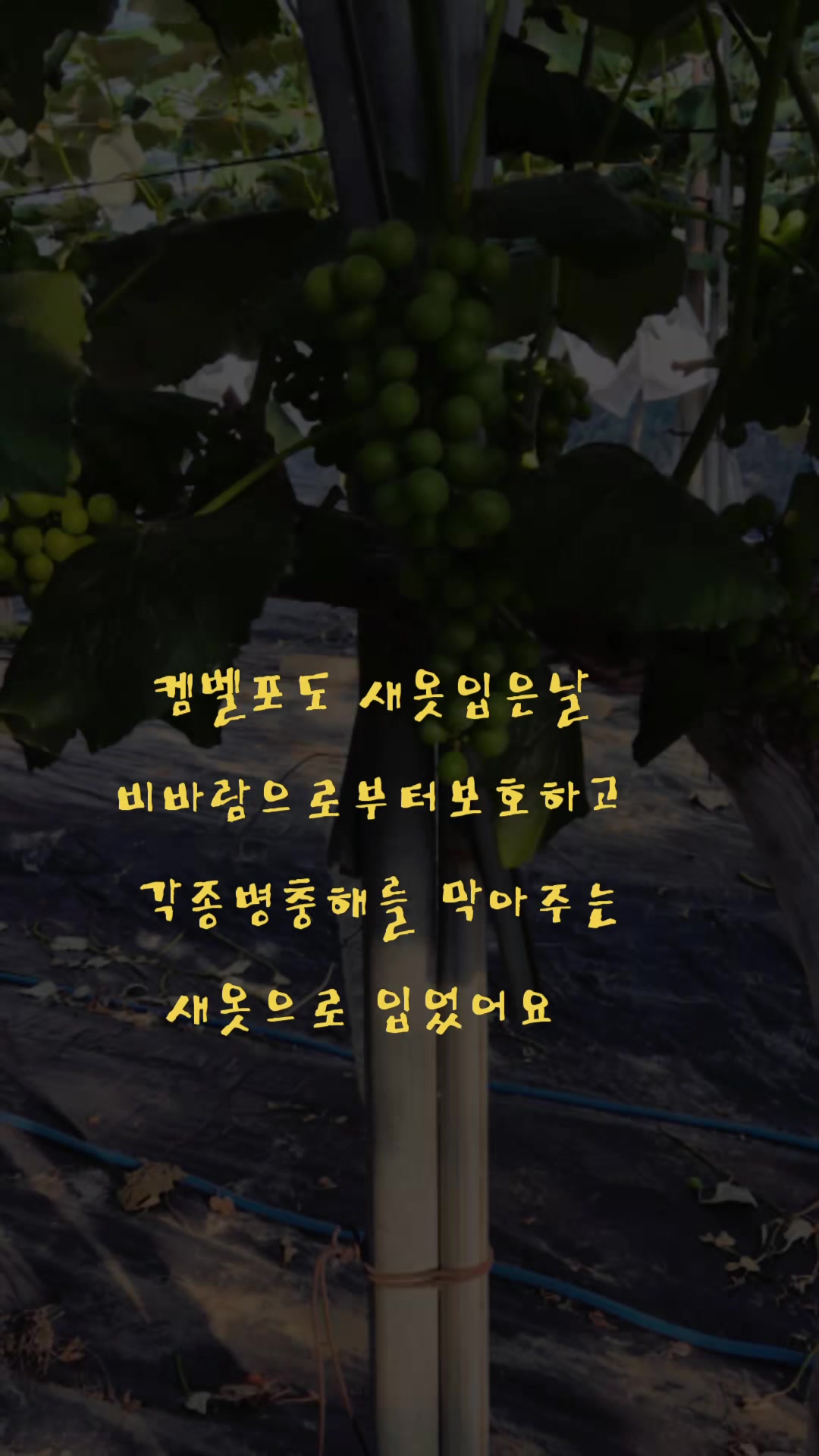 @๐ฐ๐ท๐์ก์ฐํฌ๋์ธ๋๐๐ฐ๐ท