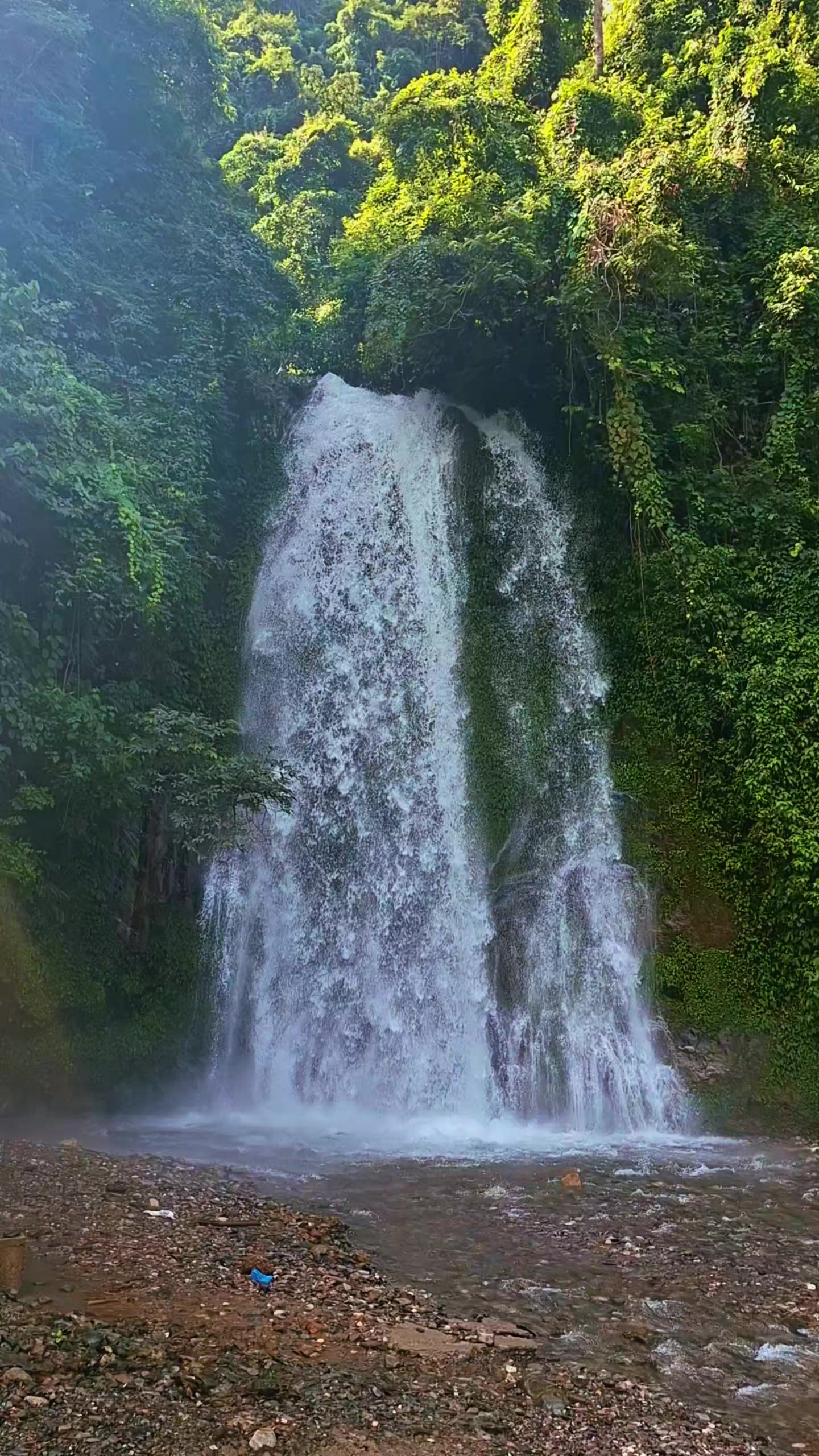 @Sangita🍀✨️