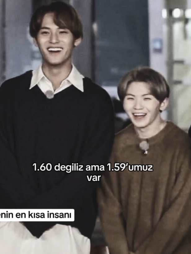 @elvn