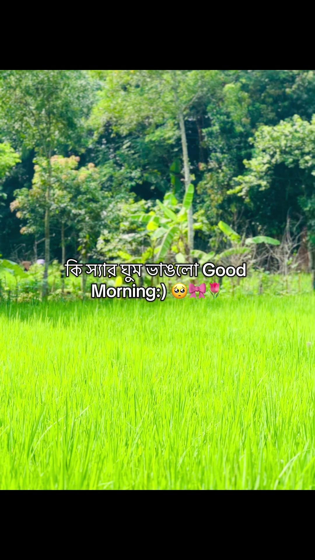 @টিক_টকি 🐸