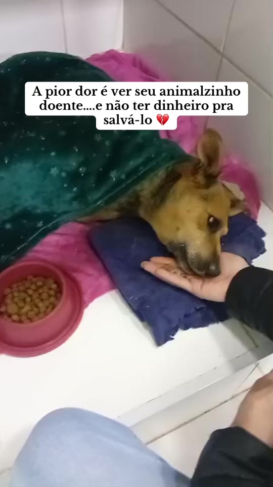 @Ajude o Max! 💙🐾