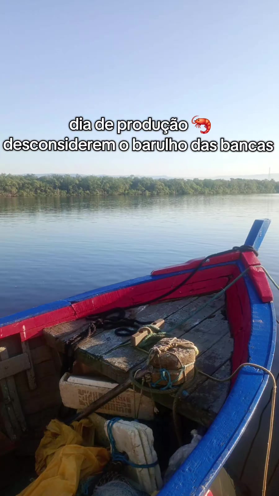 @lucia