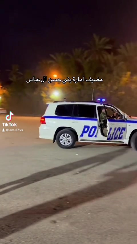 @محمد عبدالأميرالعباسي الحسناوي