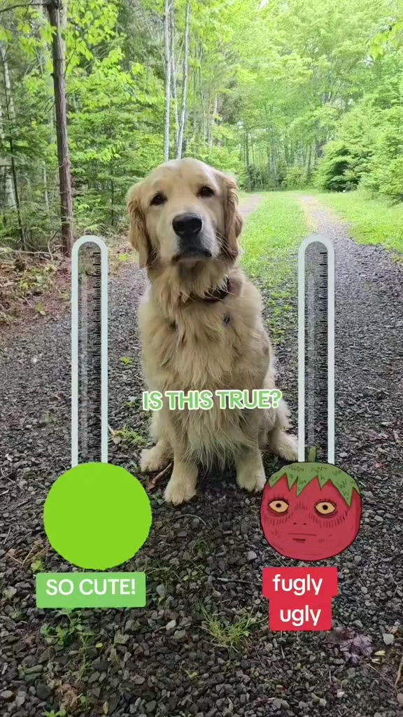 @🐶Griffin